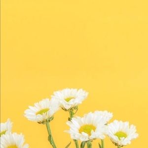 Meet your Posher, Janet